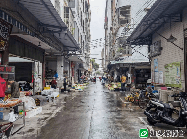 天津港最新报价揭秘，巷弄深处的惊喜发现